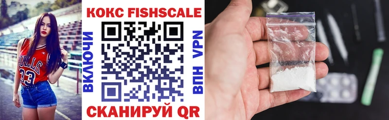 КОКАИН Fish Scale  Купить  Ивдель 