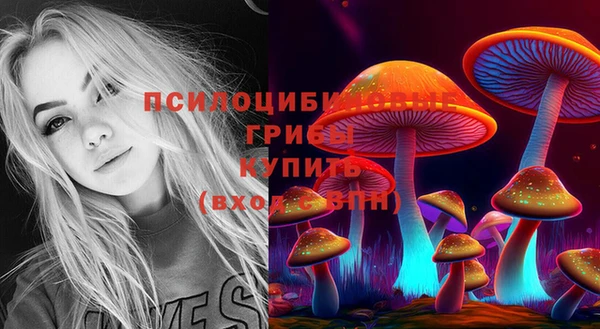 амфетамин Новодвинск