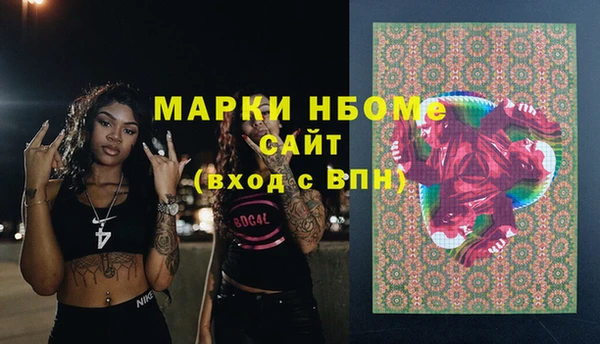 скорость Новозыбков