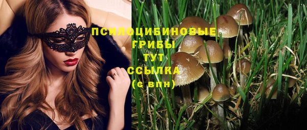 скорость Новозыбков