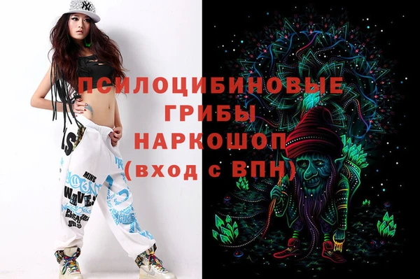 скорость Новозыбков