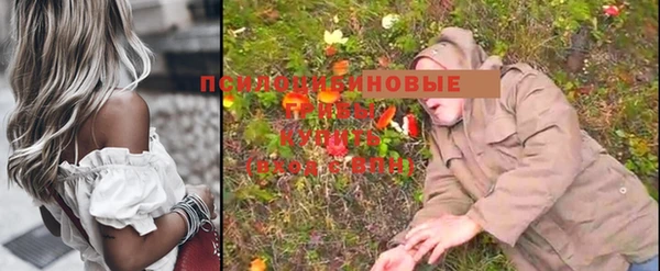 амфетамин Новодвинск