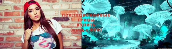 альфа пвп Новокубанск