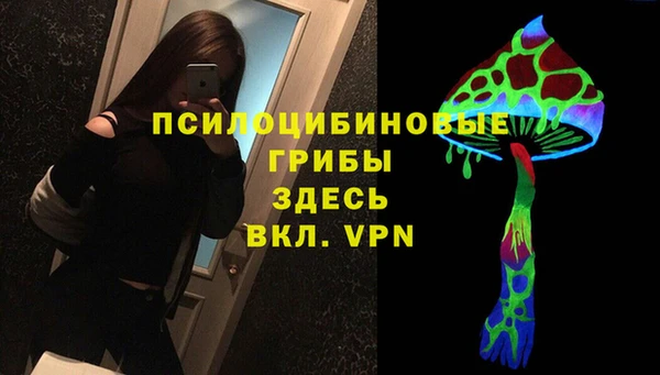 скорость Новозыбков